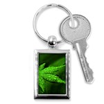 Leaf With Drops Key Chain (Rectangle) Front