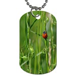 Ladybird Dog Tag (One Sided) Front