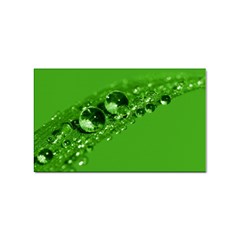 Green Drops Sticker (rectangle) by Siebenhuehner