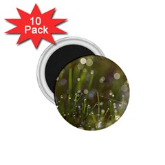 Waterdrops 1 75  Button Magnet (10 Pack) by Siebenhuehner