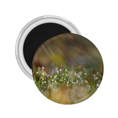 Sundrops 2 25  Button Magnet by Siebenhuehner