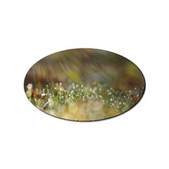 Sundrops Sticker (oval) by Siebenhuehner