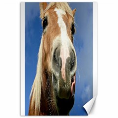 Haflinger  Canvas 20  X 30  (unframed) by Siebenhuehner