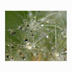 Dandelion Glasses Cloth (small, Two Sided) by Siebenhuehner