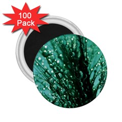 Waterdrops 2 25  Button Magnet (100 Pack) by Siebenhuehner