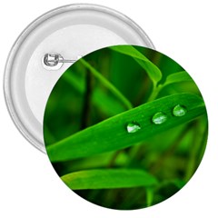 Bamboo Leaf With Drops 3  Button by Siebenhuehner