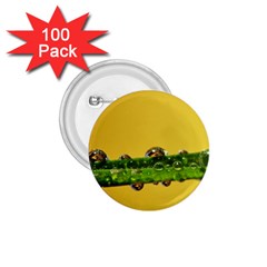 Drops 1 75  Button (100 Pack) by Siebenhuehner