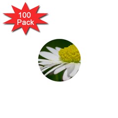 Daisy With Drops 1  Mini Button (100 Pack) by Siebenhuehner