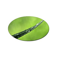 Green Drops Sticker (oval) by Siebenhuehner