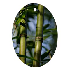 Bamboo Oval Ornament by Siebenhuehner