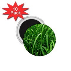 Grass 1 75  Button Magnet (10 Pack) by Siebenhuehner