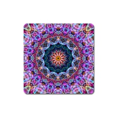 Purple Lotus Magnet (square) by Zandiepants