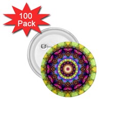 Rainbow Glass 1 75  Button (100 Pack) by Zandiepants