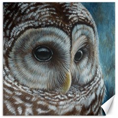 Barred Owl Canvas 16  X 16  (unframed) by TonyaButcher