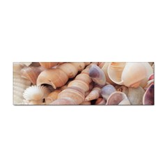 Seashells 3000 4000 Bumper Sticker 100 Pack by yoursparklingshop