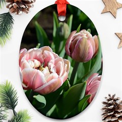 Tulips Oval Ornament (two Sides) by anstey