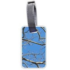 Leafless Tree Branches Against Blue Sky Luggage Tags (one Side)  by dflcprints