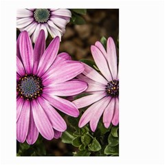 Beautiful Colourful African Daisies  Small Garden Flag (two Sides) by OZMedia