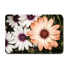 Beautiful Colourful African Daisies Small Doormat  by OZMedia