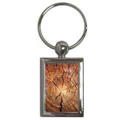 Cross Section Of An Old Tree Key Chains (rectangle)  by trendistuff