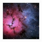 TRIFID NEBULA Medium Glasses Cloth (2-Side) Front