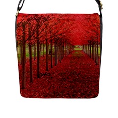 Avenue Of Trees Flap Messenger Bag (l)  by trendistuff