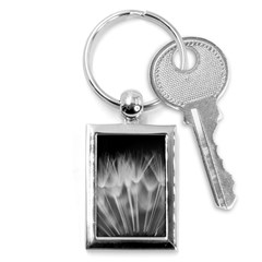 Dandelion Key Chains (rectangle)  by trendistuff