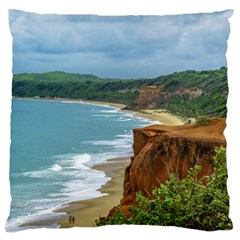 Aerial Seascape Scene Pipa Brazil Standard Flano Cushion Case (two Sides) by dflcprints