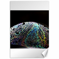 Bubble Iridescent Soap Bubble Canvas 12  X 18   by Amaryn4rt