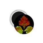 Autumn Beauty 1.75  Magnets Front