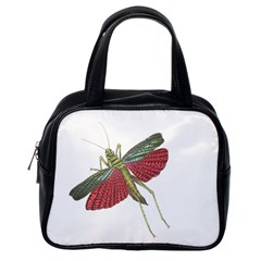 Grasshopper Insect Animal Isolated Classic Handbags (one Side) by Nexatart