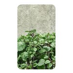 Plants Against Concrete Wall Background Memory Card Reader Front