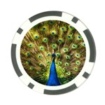 Peacock Bird Poker Chip Card Guard (10 pack) Front