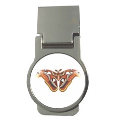 Butterfly Animal Insect Isolated Money Clips (round)  by Simbadda