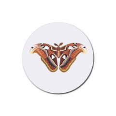 Butterfly Animal Insect Isolated Rubber Coaster (round)  by Simbadda