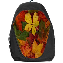 Colorful Autumn Leaves Leaf Background Backpack Bag by Amaryn4rt