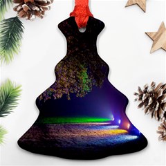 Illuminated Trees At Night Ornament (christmas Tree)  by Nexatart