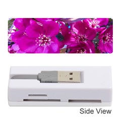 Pretty In Fuchsia Memory Card Reader (stick)  by dawnsiegler