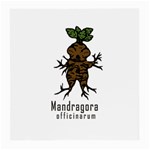 Mandrake plant Medium Glasses Cloth (2-Side) Front