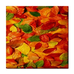 Leaves Texture Tile Coasters by BangZart