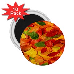 Leaves Texture 2 25  Magnets (10 Pack)  by BangZart