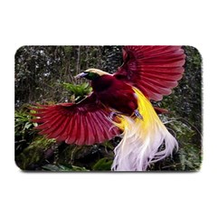 Cendrawasih Beautiful Bird Of Paradise Plate Mats by BangZart