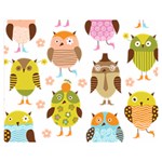 Cute Owls Pattern Double Sided Flano Blanket (Medium)  60 x50  Blanket Back