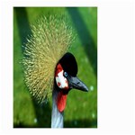 Bird Hairstyle Animals Sexy Beauty Small Garden Flag (Two Sides) Back