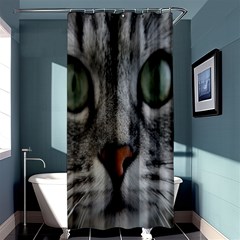 Cat Face Eyes Gray Fluffy Cute Animals Shower Curtain 36  X 72  (stall)  by Mariart