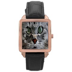 Cat Face Eyes Gray Fluffy Cute Animals Rose Gold Leather Watch  by Mariart