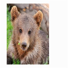 Baby Bear Animals Small Garden Flag (two Sides) by Mariart