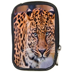 Tiger Beetle Lion Tiger Animals Leopard Compact Camera Cases by Mariart