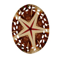 Spaghetti Italian Pasta Kaleidoscope Funny Food Star Design Ornament (oval Filigree) by yoursparklingshop