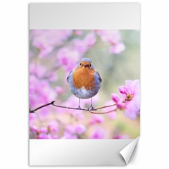 Spring Bird Bird Spring Robin Canvas 12  X 18   by Celenk